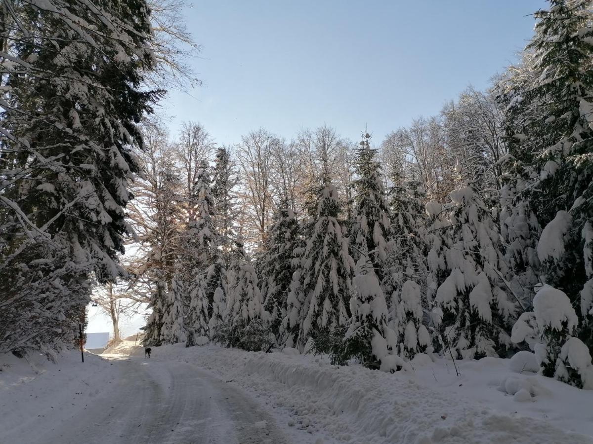 Kehlbauer Farm stay Hof bei Salzburg