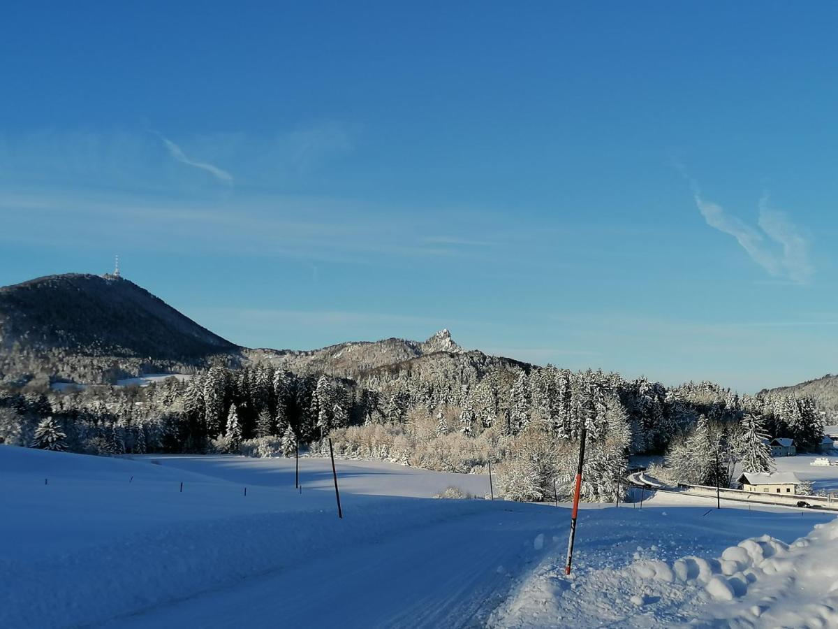 Kehlbauer Farm stay Hof bei Salzburg