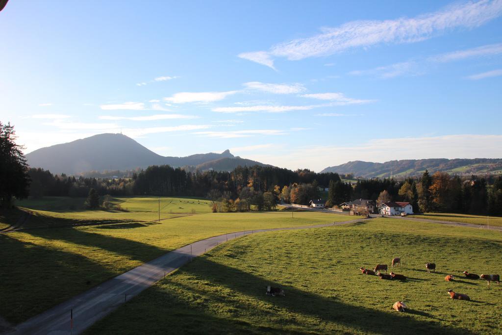 Farm stay Kehlbauer Hof bei Salzburg