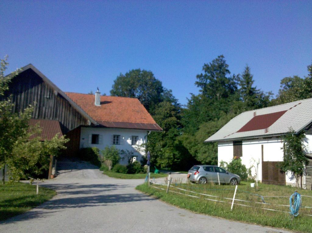 Kehlbauer *
