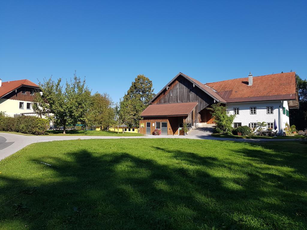 Kehlbauer *